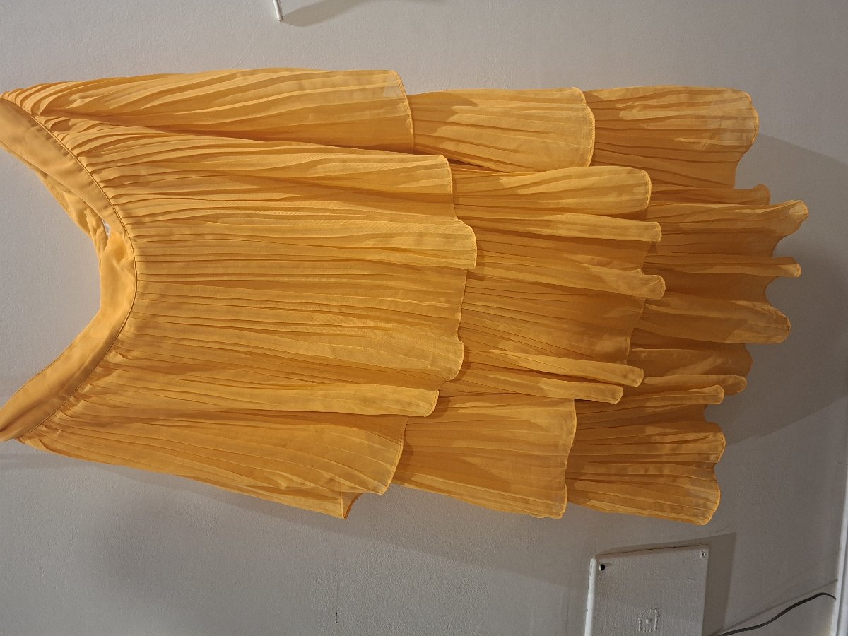 Skirt with Tag